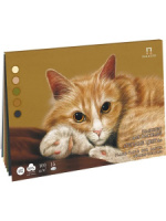 Планшет для пастели  А3 15л. "Тёплые цвета"