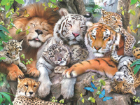 Пазл 3D 500 дет.  61*46см "Кошачий сон"