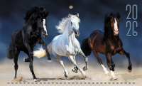 Календарь Трио  297*758мм на 2026г.  Год Лошади
