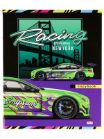 Тетрадь А5 48л ЛИН. Проф-Пресс "Спорткар под мостом" 5 диз.в спайке