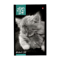 Блокнот А5  40л скоба "Котята" клетка