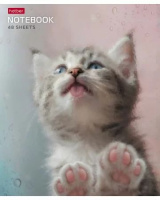 Тетрадь А5 48л кл. Hatber "Розовые лапки" 5 диз.в спайке, белизна 100%