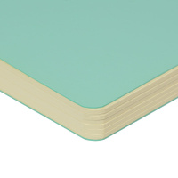 Скетчбук А5 100л., сшивка,100гр/м2, "SKETCHBOOK Sketch&Art. Zefir. Зефирный мятный" беж., мягк.обл.