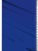 Тетрадь А4  60л кл. гребень Проф-Пресс "Символика России - 7"