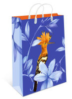 Пакет с пласт. ручками, мягкий пластик 40*30*9 Птица