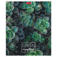 Тетрадь А5  96л кл.  "MOREgreen"