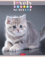 Тетрадь А5  60л кл. Hatber "Все любят котиков" белизна 98%