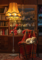 Пазлы 1000 элементов  470*670мм. "Вечерний уют"