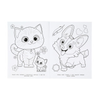 Раскраска "Забавные питомцы" 21*30см 16 стр