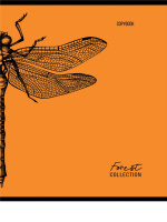 Тетрадь А5  96л кл. Проф-Пресс "Зарисовки природы" 5 диз., белизна 100%