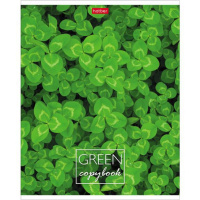 Тетрадь А5  96л кл.  "MOREgreen"