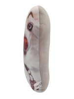 Мягкая игрушка 24см "Собака с бровями"