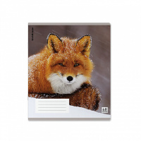 Тетрадь А5 48л кл. Erich Krause  "Лисы", пластик обложка, ассорти MIX-PACK