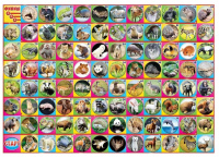 Викторина "В мире животных" 5+