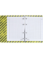 Тетрадь  А5 120л кл. на кольцах Проф-Пресс "Дерзкие надписи" мат.лам., холст, белизна 100%