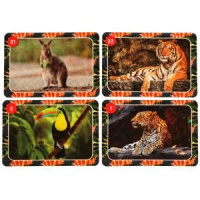 Игра Мемо "Джунгли" 50 карточек