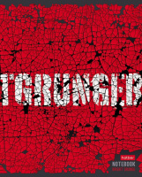 Тетрадь А5  96л кл. Hatber "Яркий гранж" белизна 100%