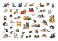 Альбом наклеек А4 4 стр, "Домашние любимцы" 350 шт