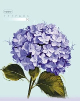 Тетрадь А5  96л кл. Hatber "Красочные лепестки" тисн., 5диз.в блоке