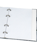 Тетрадь А5  80л кл. на кольцах Проф-Пресс "Городской дрифт" белизна 100%