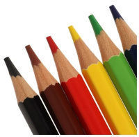 Карандаши цвет. акварельные  6цв Луч "Классика цвета" с кисточкой