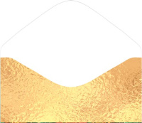 Конверт для денег "Новогодний подарок" Конверт для денег "Новогодний подарок"