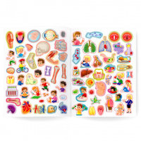 Книга "Атлас с наклейками. Тело человека" А4 16стр.