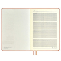 Ежедневник недат. А5 160л., кож.зам., тв.пер. "Буйвол пепельно-розовый" тиснен., ляссе