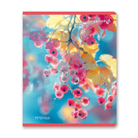 Тетрадь А5 48л кл. Светоч "На рассвете" глянц.лам.