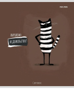 Тетрадь А5  96л кл. Проф-Пресс "Забавные фразы" твин-лак