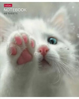 Тетрадь А5 48л кл. Hatber "Розовые лапки" 5 диз.в спайке, белизна 100%