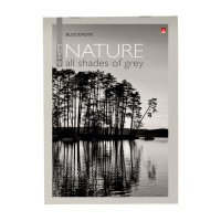 Блокнот А5  40л скоба "Природа" клетка, ассорти