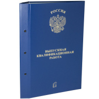 Папка д/Выпускной квалификационной работы А4, без бумаги, 3 отв., НА БОЛТАХ мет., ассорти