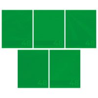 Тетрадь А5 48л ЛИН. Полиграф Принт "Зеленый" твин УФ лак, белизна 100%