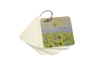 Карточки д/записи иностр. слов 70*70мм 80 листов.,кольцо, 4 вида