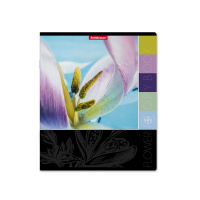 Тетрадь А5  96л кл. Erich Krause "Цветовая палитра", выбор. УФ-лак