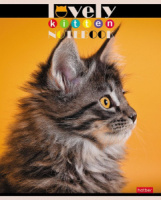 Тетрадь А5  60л кл. Hatber "Все любят котиков" белизна 98%