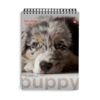 Блокнот А7  40л гребень "Чудо-щеночки" клетка