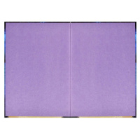 Записная книжка А5  80л., 7БЦ "Космический кот" мат.лам., выб.перл.лак, тисн.фольгой