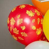 Шар с рисунком 12"  Праздник 1 Сентября! Вперёд к знаниям! 30 см 25 шт. в уп.