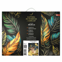 Картина по номерам на холсте с поталью 30*40см "Девушка со звездами"