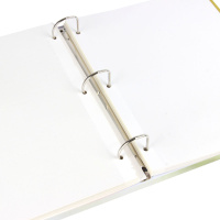 Фотоальбом магнитный 50л  23*28см кольца