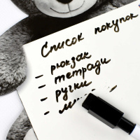 Доска магнитно-маркерная 22,4*26 см "Мишка в шапочке" в наборе 1 маркер