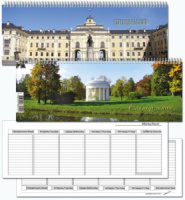 Еженедельник недат. (100*295)  "Ассорти" мел.картон, гребень