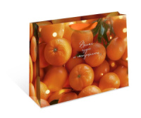Пакет подар. бум. новогодн. 50*40*15см 157гр/м Мандарины