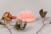 Воск соевый 40г "Love2art"