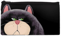 Пенал-косметичка (205*108) молния, ткань "Недовольный кот"