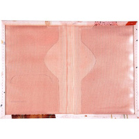 Обложка для паспорта из к/з " Если меня не баловать, то я начну ...", цветная печать