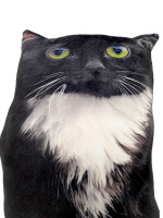 Игрушка антистресс 26см "Кот"