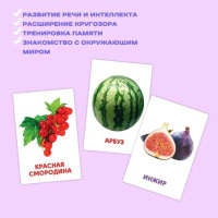 Развивающие карточки "Овощи, фрукты и ягоды" 120*180 мм, 20 карточек, европодвес